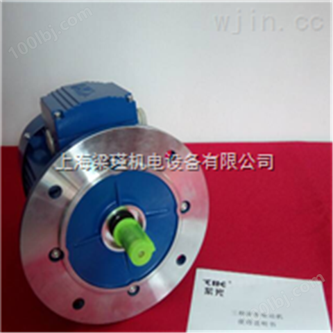 MS8024-0.75KW台州清华紫光电机现货