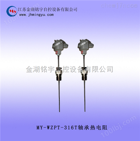 MY-WZPT-316T型轴承热电阻，热电偶厂家，质优价廉