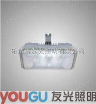 温州友光照明厂家供应NFC9175长寿顶灯