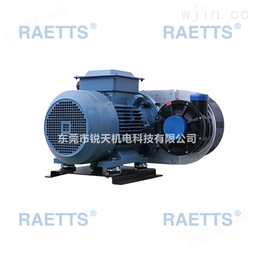 厂家专业生产RAETTS雷茨涡轮式鼓风机