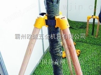 泰安 树木支架，苗木支架1.5m 1.6m2.0m护树支架量大从优