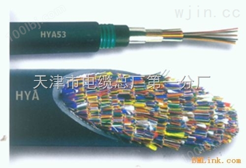 HYA 10*2*0.5 100对通信电缆